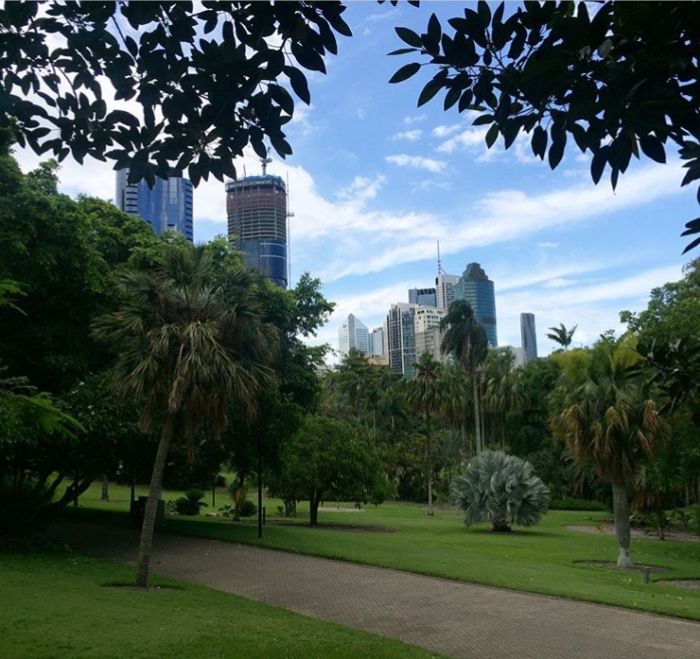 Picture 5 of Brisbane city