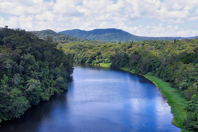 Picture 2 of things to do in Cairns city