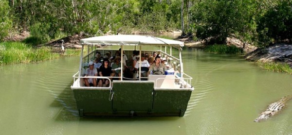 Picture 3 of things to do in Cairns city