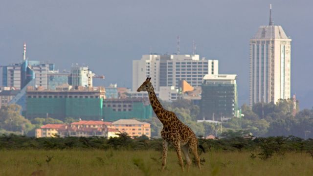 Picture 1 of things to do in Nairobi city