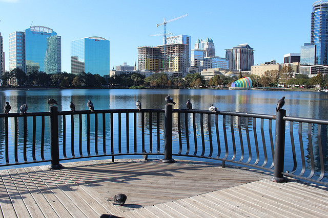 Picture 5 of things to do in Orlando city