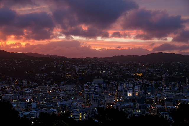 Picture 6 of things to do in Wellington city
